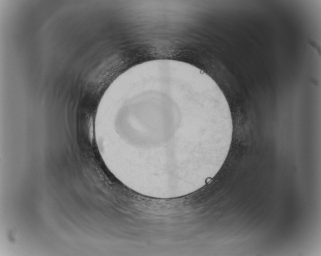 X0000103940027200810311536