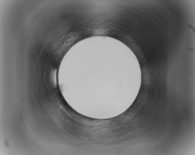 X0000103940028200810311536