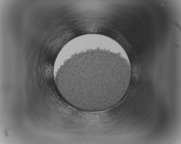 X0000103940029200810311536