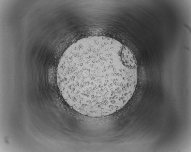 X0000103940030200810311536