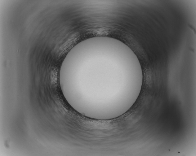 X0000103940032200810311536