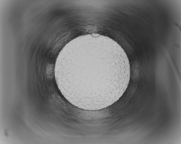 X0000103940034200810311536