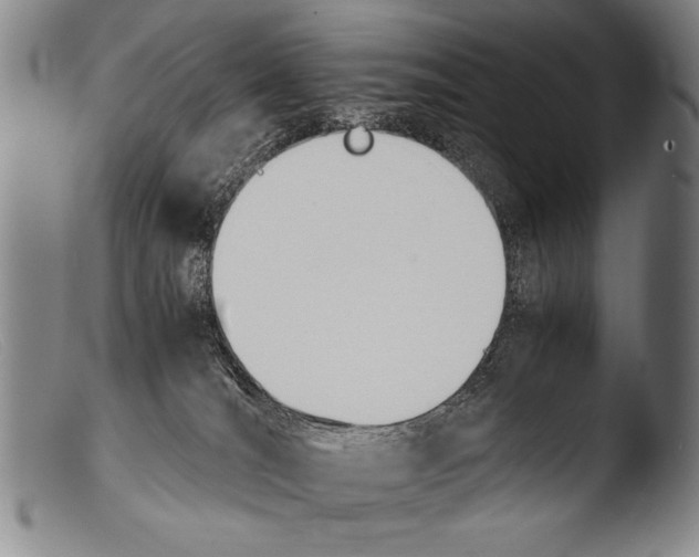 X0000103940036200810311536