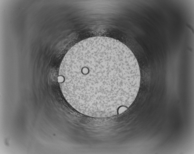 X0000103940037200810311536