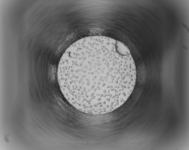 X0000103940038200810311536