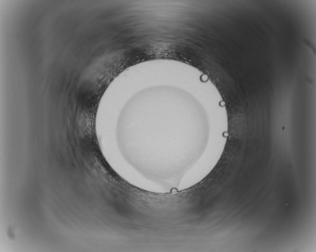 X0000103940039200810311536