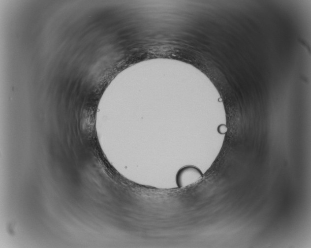 X0000103940040200810311536