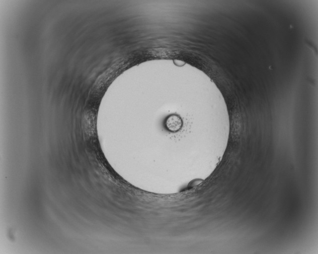 X0000103940043200810311536