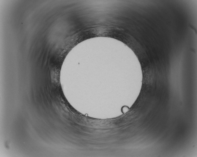 X0000103940044200810311536