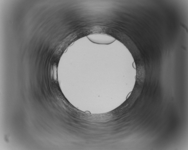 X0000103940046200810311536