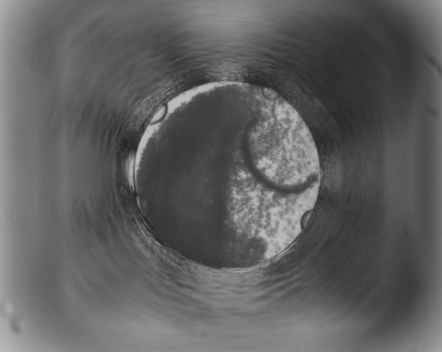 X0000103940047200810311536