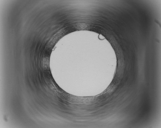 X0000103940048200810311536