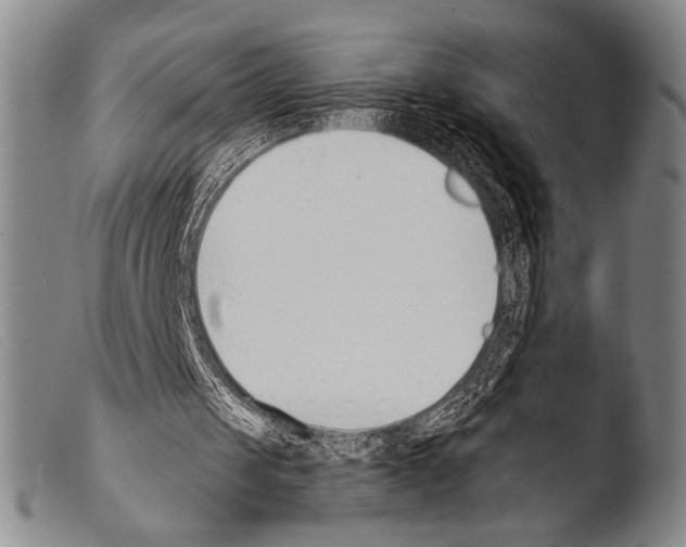 X0000103940049200810311535