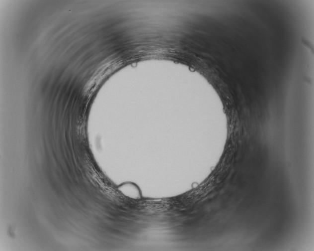 X0000103940050200810311535