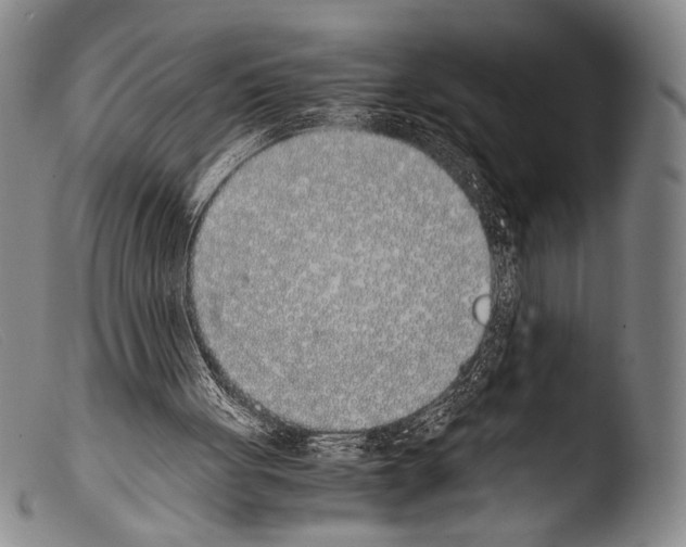 X0000103940051200810311535