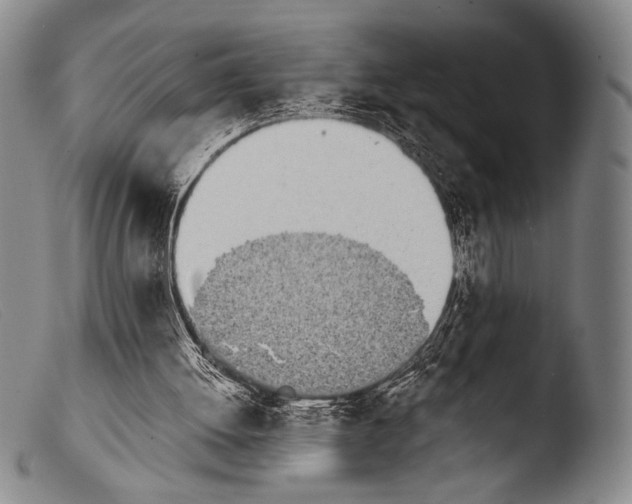 X0000103940052200810311535