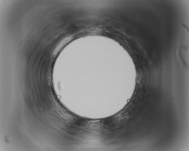 X0000103940054200810311535