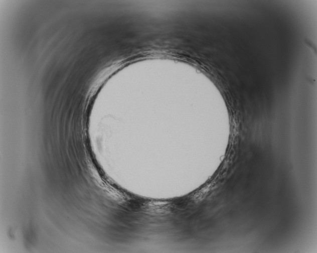 X0000103940055200810311535