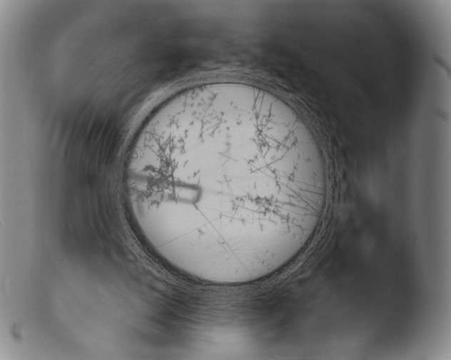 X0000103940056200810311535