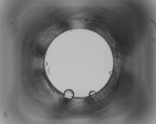 X0000103940057200810311535