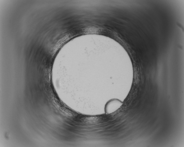 X0000103940059200810311535