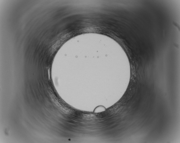 X0000103940061200810311535