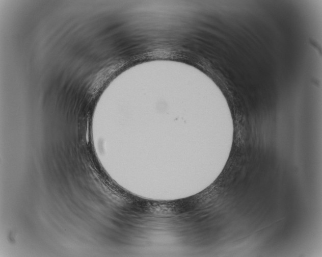 X0000103940062200810311535