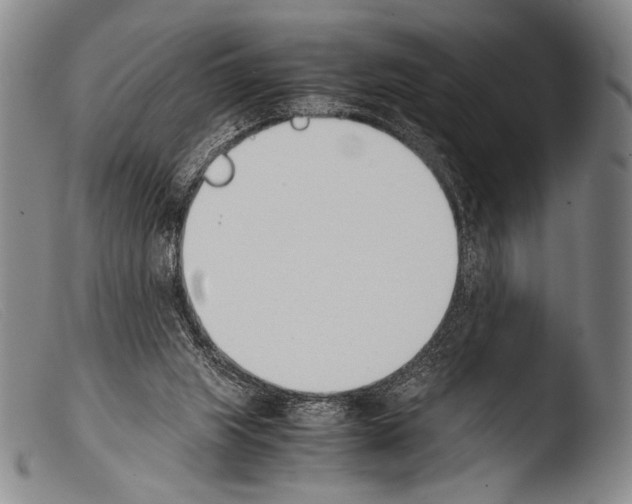 X0000103940063200810311535