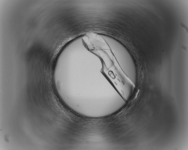 X0000103940064200810311535