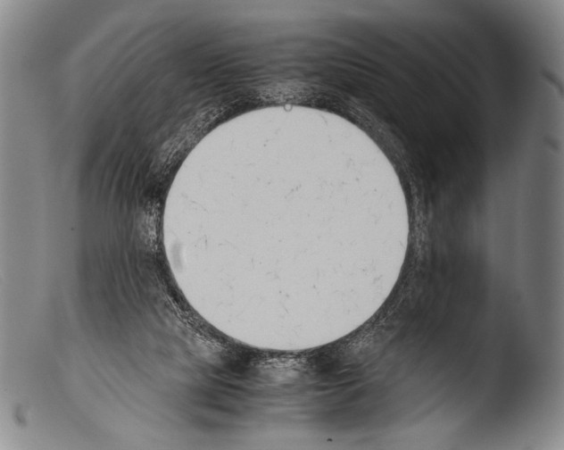 X0000103940065200810311535