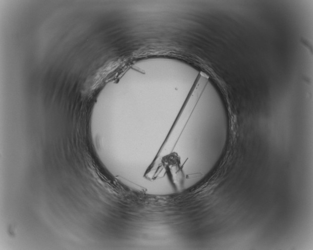 X0000103940068200810311535