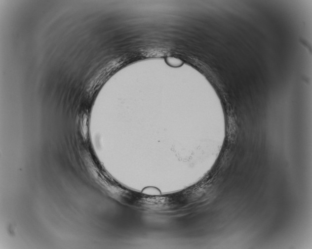 X0000103940069200810311535