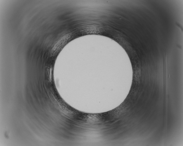 X0000103940070200810311535