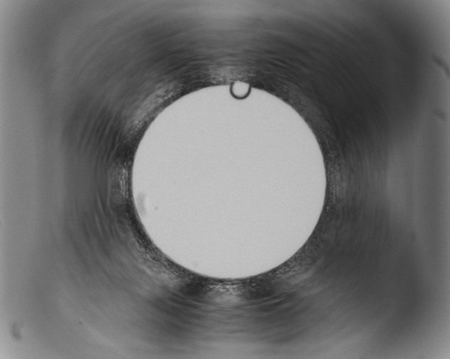 X0000103940071200810311535