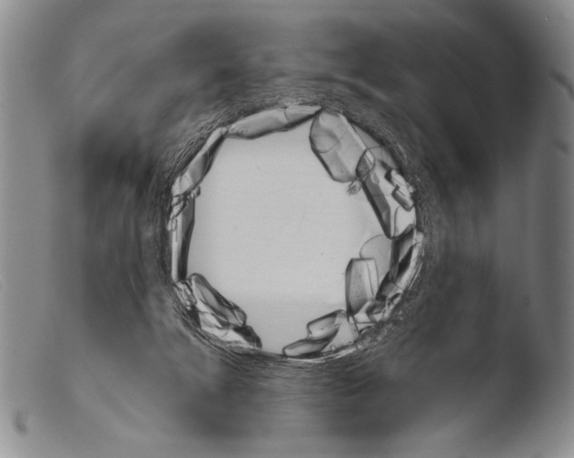 X0000103940072200810311535