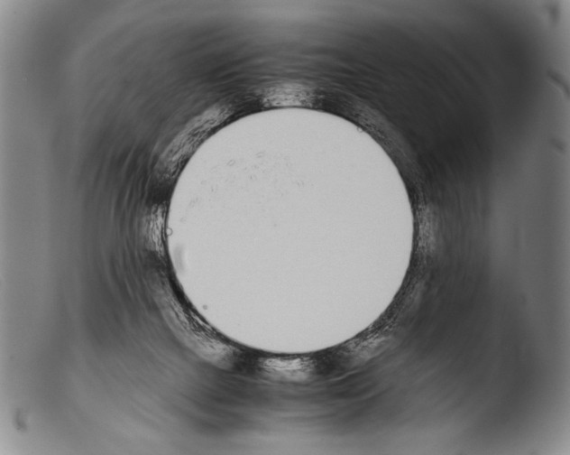 X0000103940073200810311535