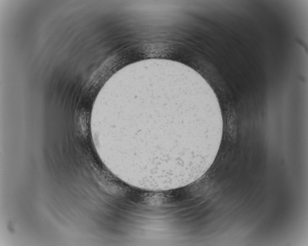 X0000103940074200810311535