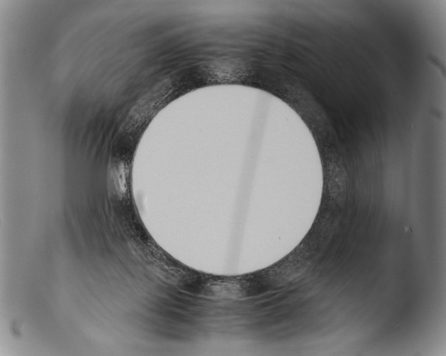 X0000103940075200810311535