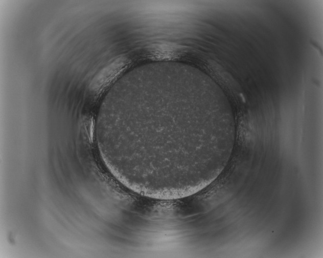 X0000103940076200810311535