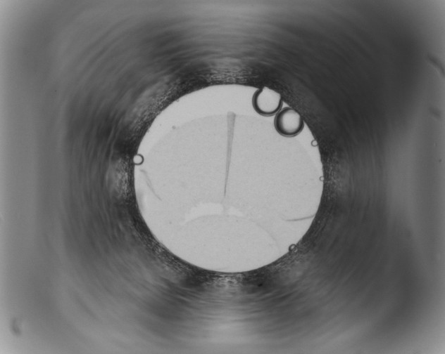 X0000103940080200810311535