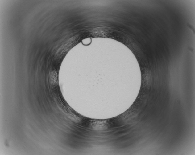 X0000103940081200810311535