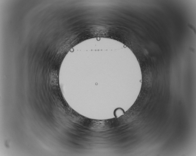 X0000103940083200810311535