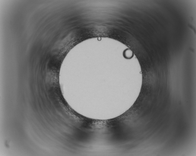 X0000103940084200810311535