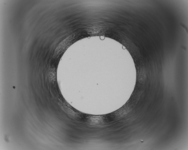 X0000103940085200810311535