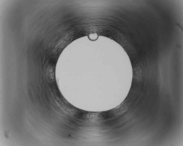 X0000103940086200810311535