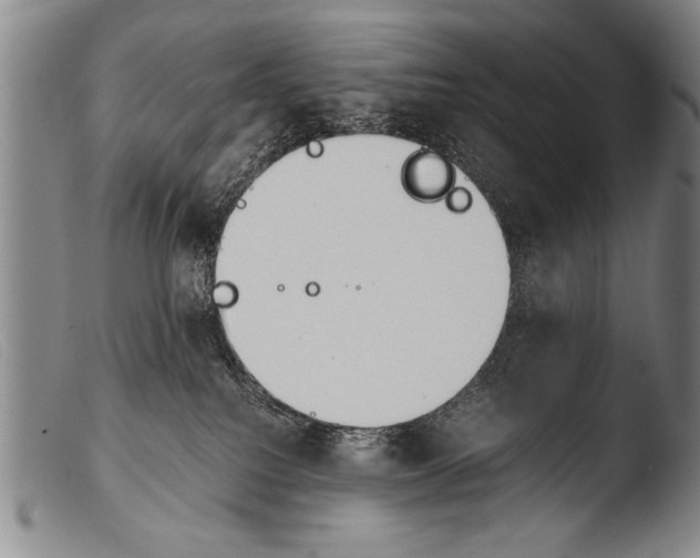 X0000103940088200810311535