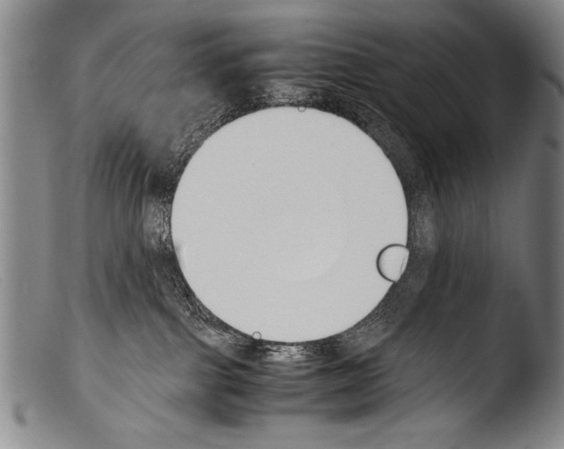 X0000103940091200810311535