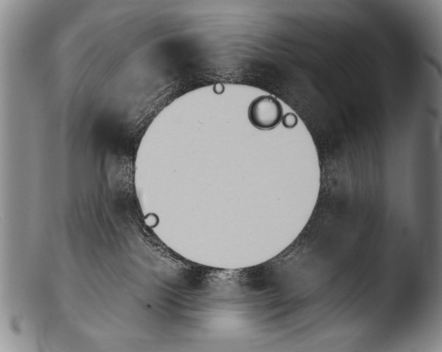 X0000103940092200810311536