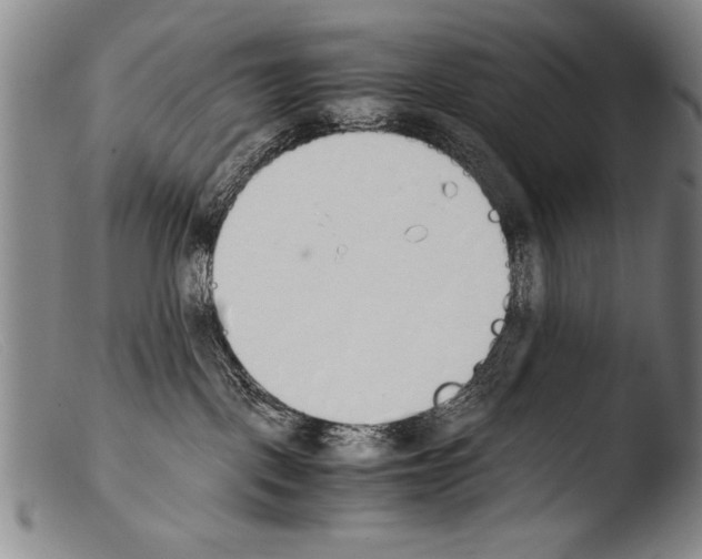 X0000103940093200810311536