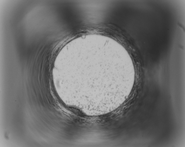 X0000103940097200810311535